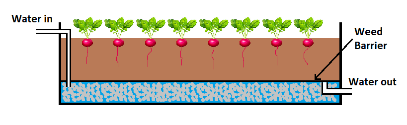 wicking bed in an aquaponics system