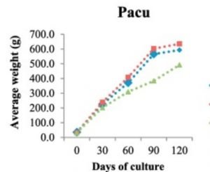 pacu growth rate chart