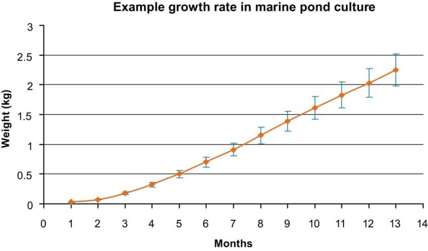 barramundi aquaponics growth rate chart