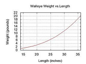 walleye weight and length chart